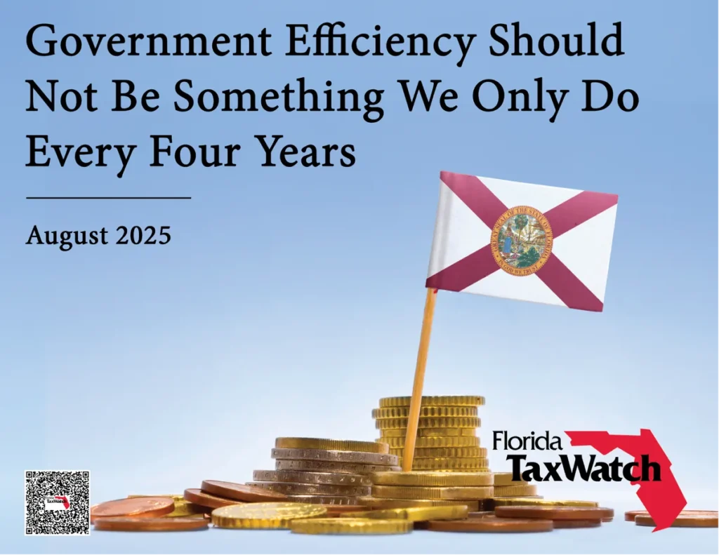 Government Efficiency Should Not Be Something We Do Every Four Years