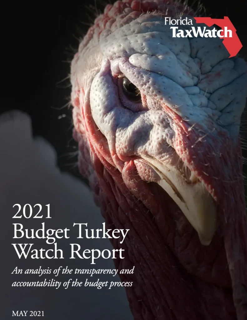 2021 Budget Turkey Watch Report