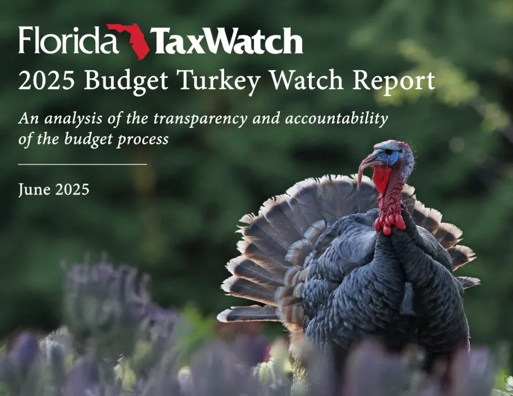 2025 Budget Turkey Watch Report