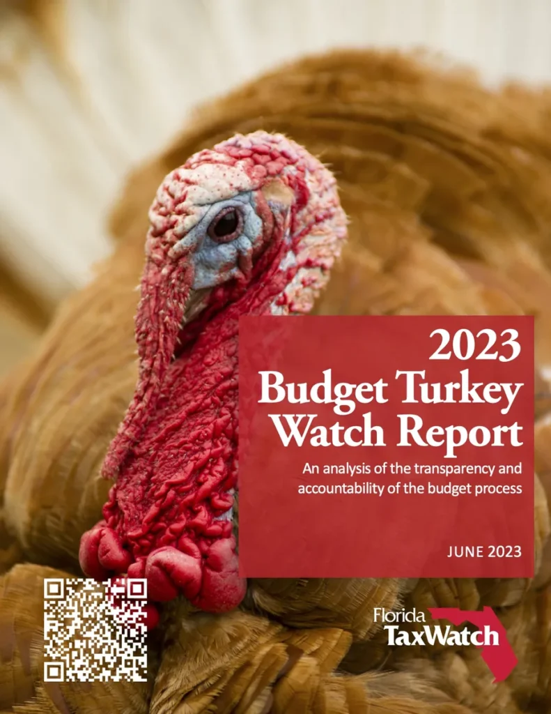 2023 Budget Turkey Watch Report
